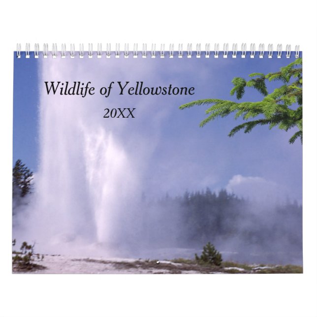 Yellowstone-Wildtierkalender Kalender (Titelbild)