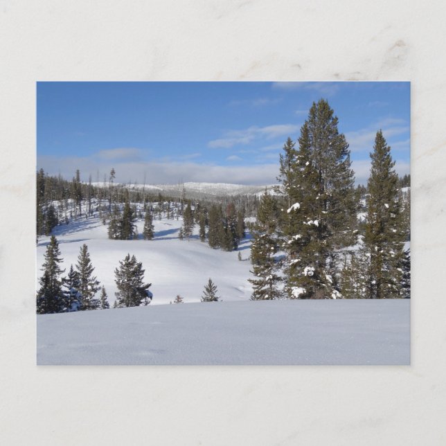Yellowstone Winterlandschaft Fotografie Postkarte (Vorderseite)