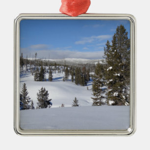 Yellowstone Winterlandschaft Fotografie Silbernes Ornament