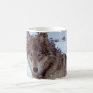 Yellowstone-Wolf Kaffeetasse