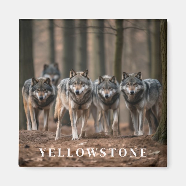 Yellowstone Wolf Magnet (Vorne)