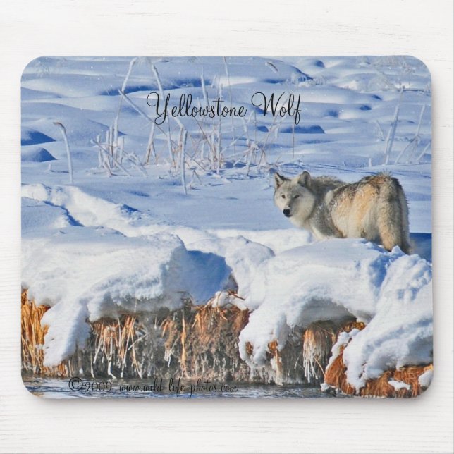 Yellowstone-Wolf Mousepad (Vorne)