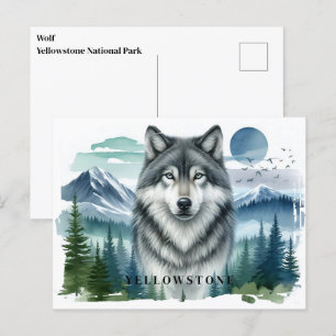 Yellowstone Wolf Postcard Postkarte