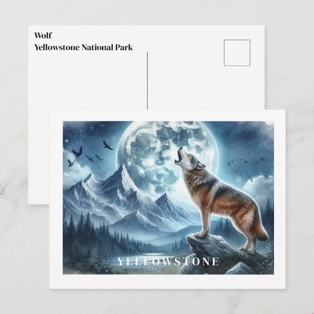 Yellowstone Wolf Postcard Postkarte (Vorne/Hinten)