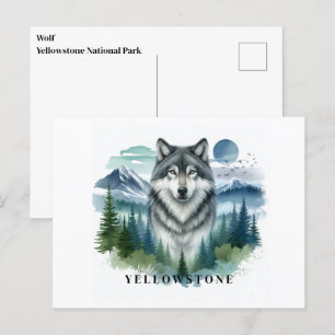 Yellowstone Wolf Postcard Postkarte