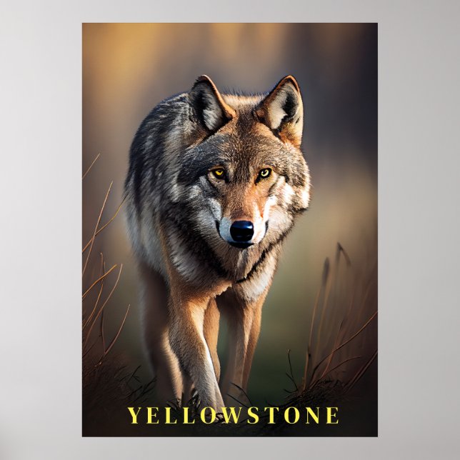 Yellowstone Wolf Poster Art (Vorne)