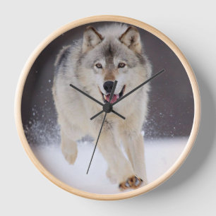 Yellowstone Wolf Uhr