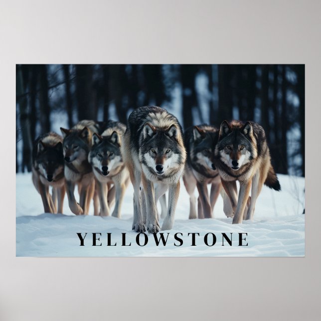 Yellowstone Wolves Poster Art (Vorne)