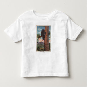 Yellowstone, WYView des schwarzen Bären im Baum Kleinkind T-shirt