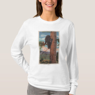 Yellowstone, WYView des schwarzen Bären im Baum T-Shirt