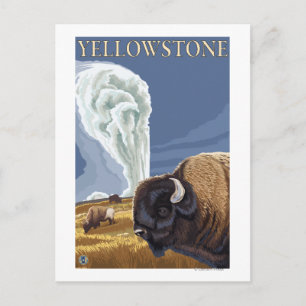 YellowstoneBison mit Alt Treu Postkarte