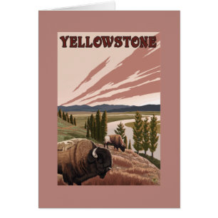 YellowstoneBison Scene