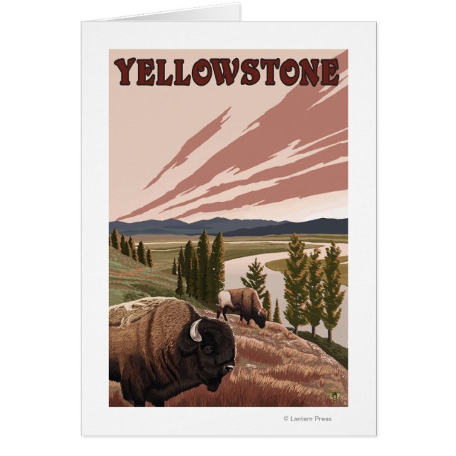 YellowstoneBison Scene (Vorne)