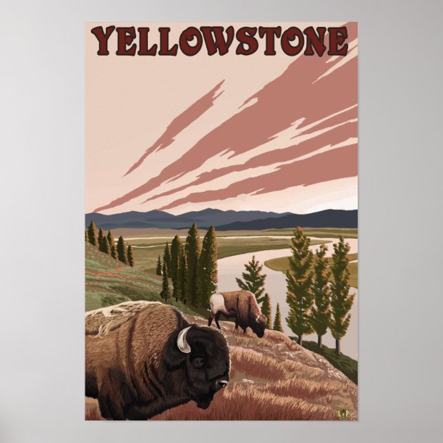 YellowstoneBison Scene Poster (Vorne)