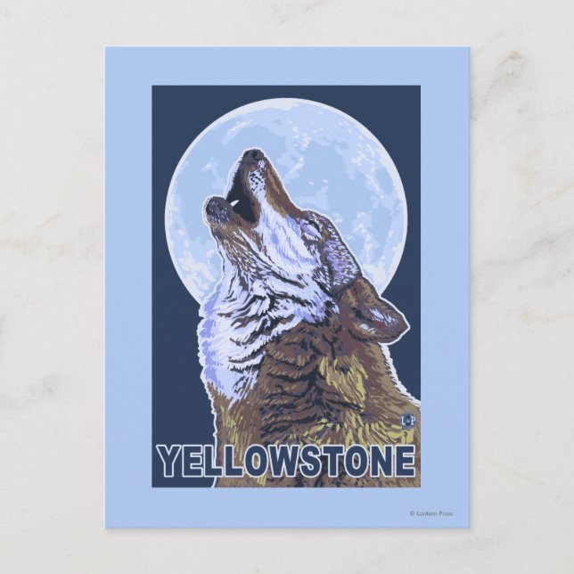 YellowstoneHowling Wolf Postkarte (Vorderseite)