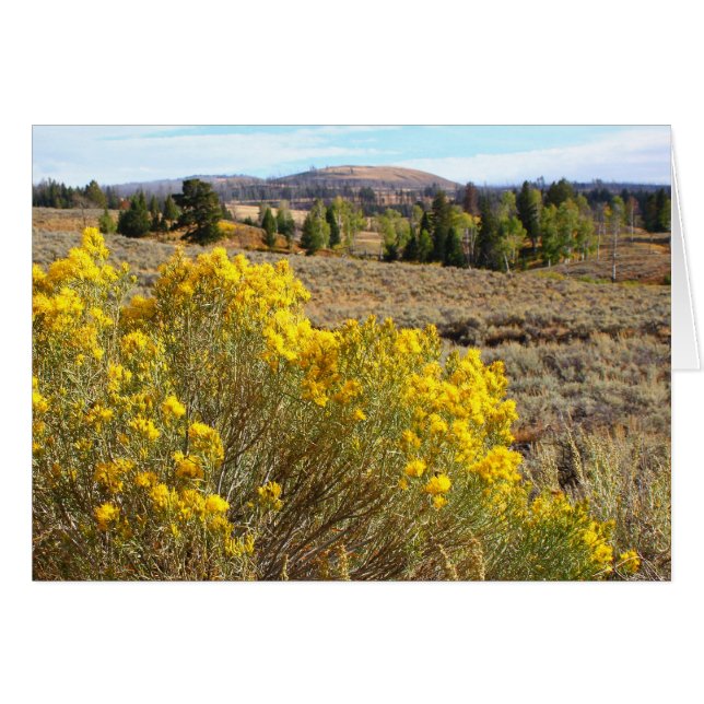 Yellowstonevista (Vorderseite (Horizontal))