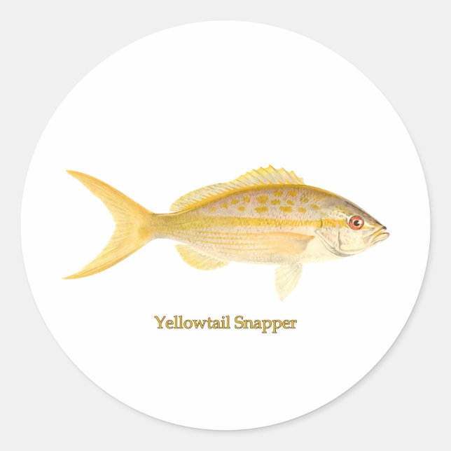 Yellowtail Snapper-Logo Runder Aufkleber (Vorderseite)