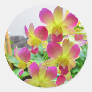 Yelow Pink Orchids Runder Aufkleber