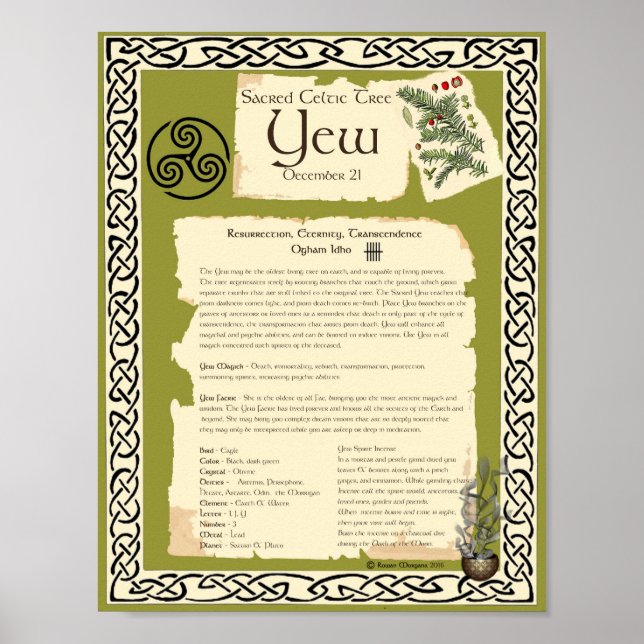 YEW CELTIC SACRED TREM POSTER (Vorne)