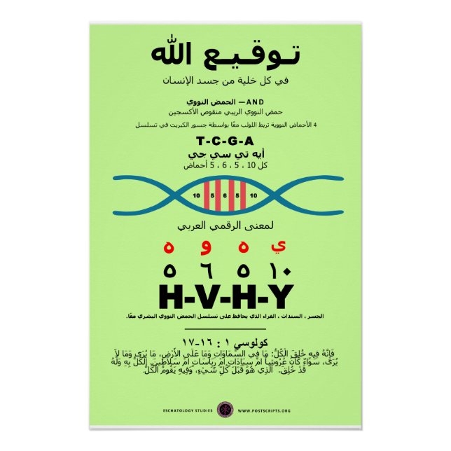 YHVH DNA - Arabisch Poster (Vorderseite)