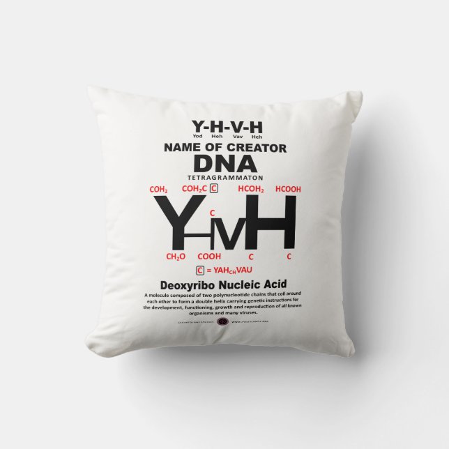 YHVH-DNA Chemical Bond Kissen (Vorderseite)