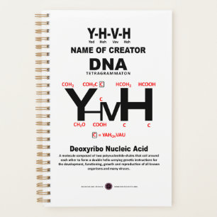 YHVH-DNA Chemical Bond Planer