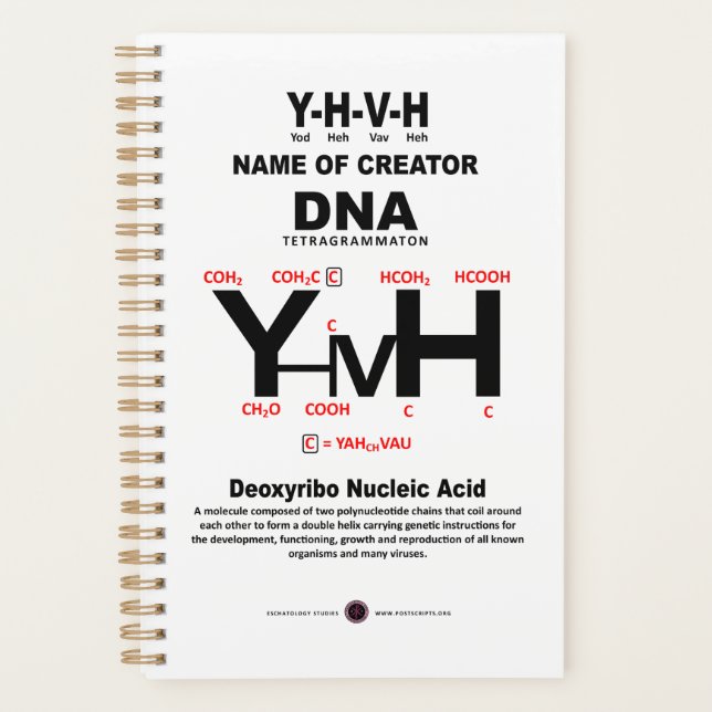 YHVH-DNA Chemical Bond Planer (Vorderseite)