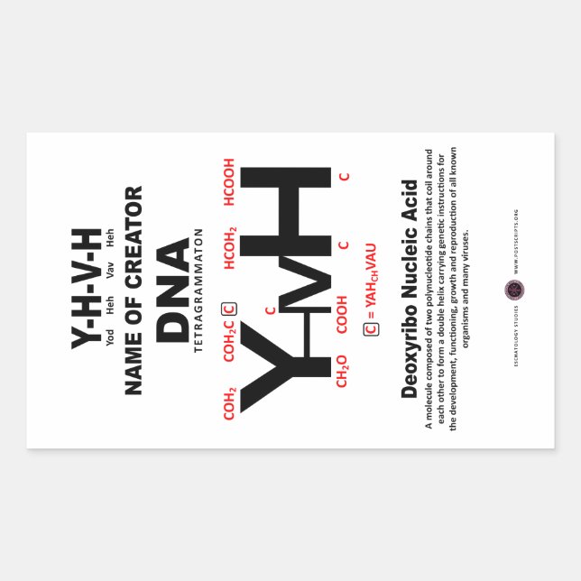 YHVH-DNA Chemical Bond Rechteckiger Aufkleber (Vorderseite)