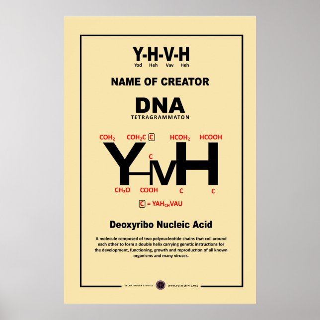 YHVH-DNA POSTER (Vorne)