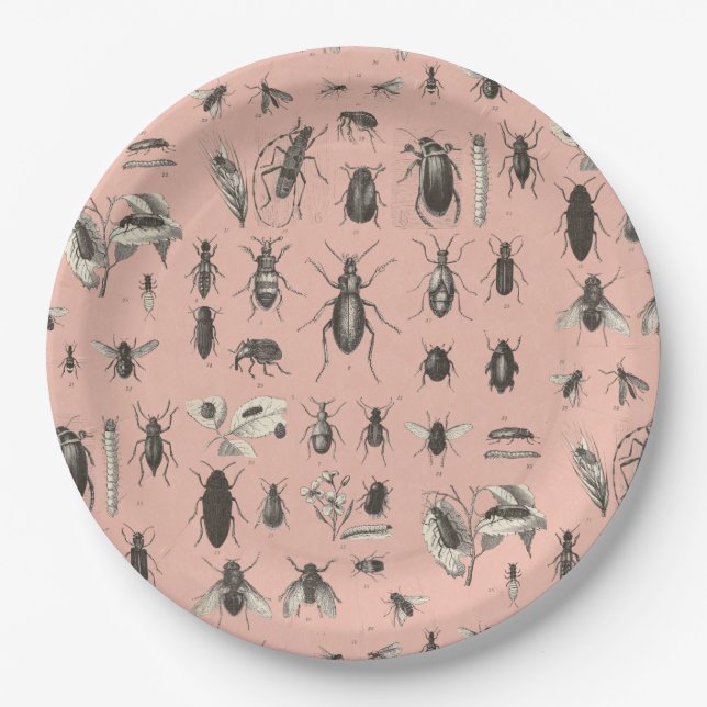 Yikes Wanzen auf meiner Platte Pappteller (Vorderseite)