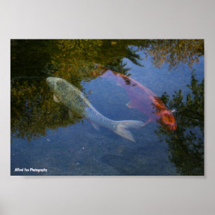 Yin und Yang in Silber und Bernstein Poster