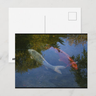 Yin und Yang in Silber und Bernstein Postkarte