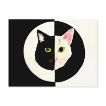 Yin und Yang Schwarz-Weiß Katzen müssen malen