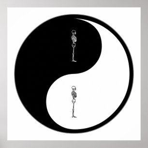 Yin Yang Chiropractic Poster
