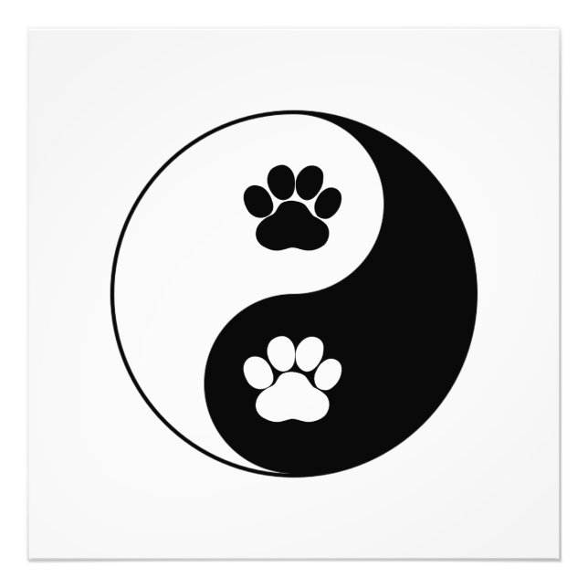 Yin Yang Dog Paw Fotodruck (Vorne)