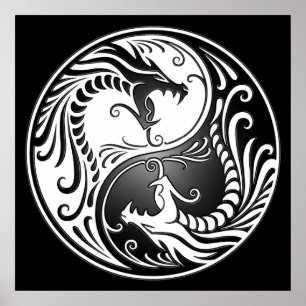 Yin Yang Dragons, weiß und schwarz Poster
