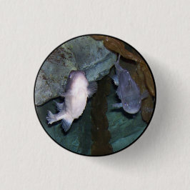 Yin Yang Fish Foto Button
