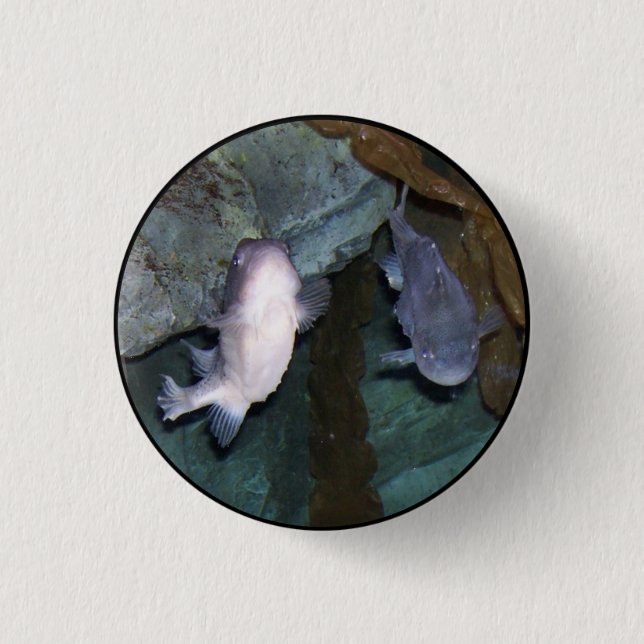 Yin Yang Fish Foto Button (Vorderseite)
