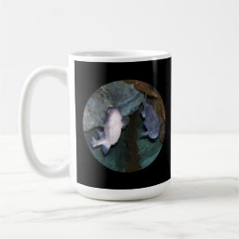 Yin Yang Fish Foto Kaffee Tasse Neu