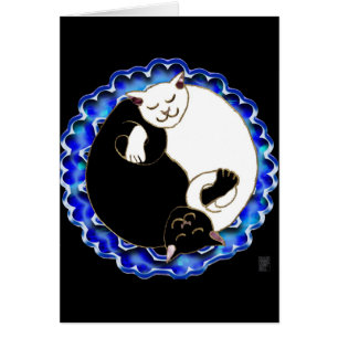 yin Yang-Kätzchen