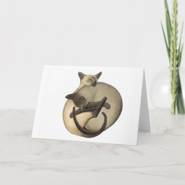 Yin Yang Siamese Cats Card Karte (Vorderseite)