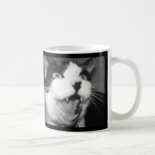 Yinyang Cat braucht Kaffee jetzt Becher Kaffeetasse
