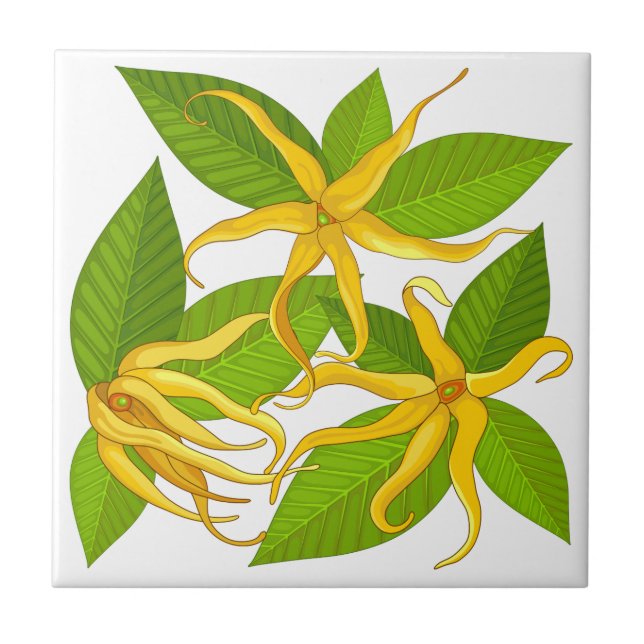 Ylang Ylang Exotic Scented Blume Fliese (Vorderseite)