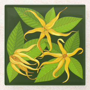 Ylang Ylang Exotic Scented Blume Glasuntersetzer