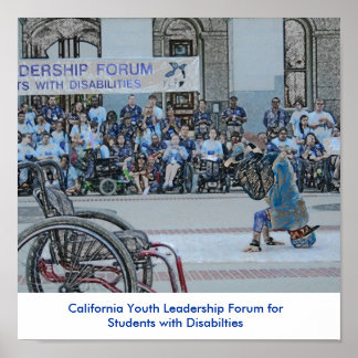 YLF-Poster 2009 Poster