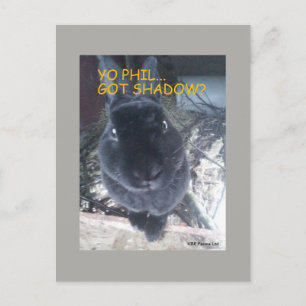 Yo Phil, Got Shadow - Postcard Postkarte