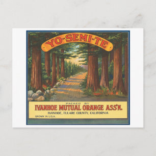 YO-SEMI-TE-Vintage Fruchtkäfigkennzeichnung Postkarte