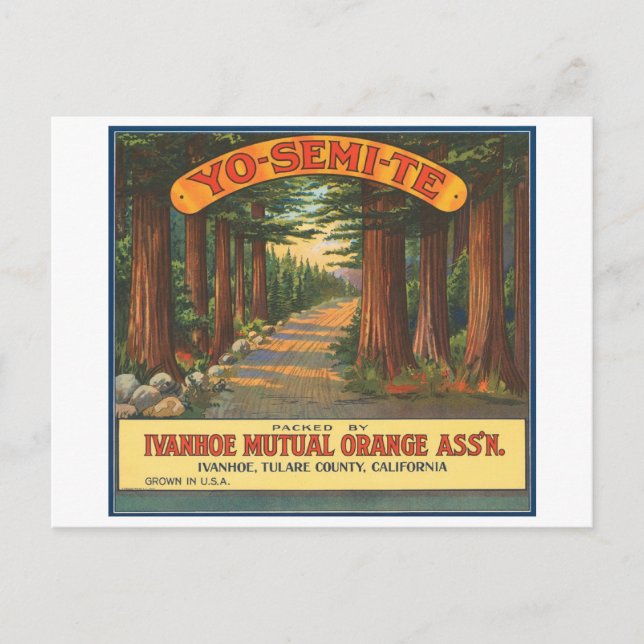 YO-SEMI-TE-Vintage Fruchtkäfigkennzeichnung Postkarte (Vorderseite)