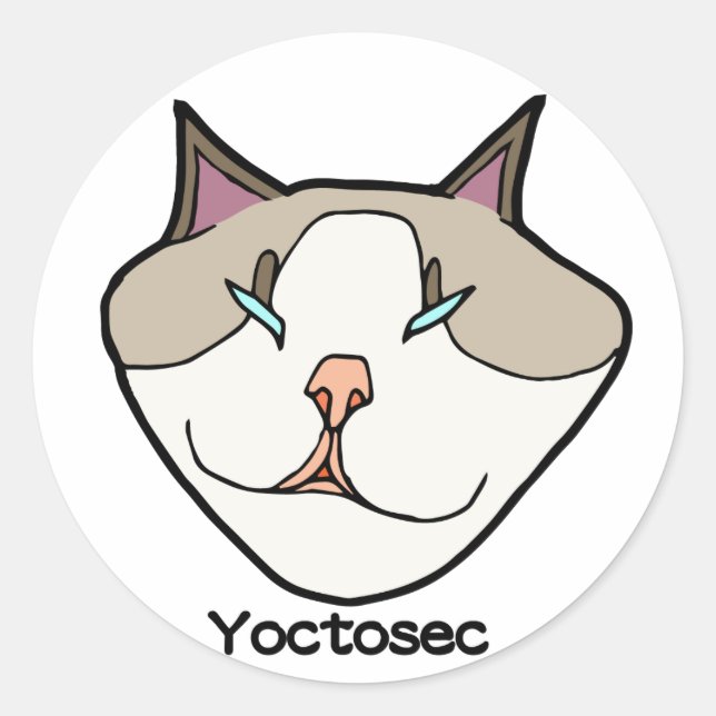 Yoctosec-Erleuchtung Cat Runder Aufkleber (Vorderseite)