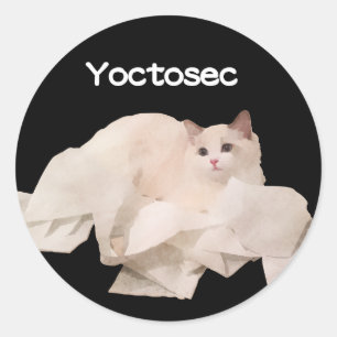 Yoctosec-Erleuchtung Cat Runder Aufkleber